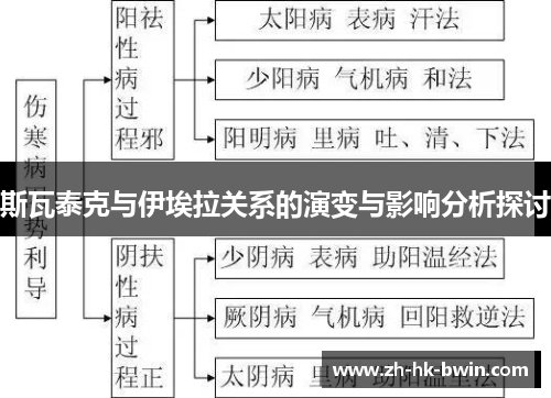 斯瓦泰克与伊埃拉关系的演变与影响分析探讨