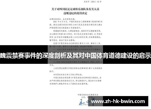 魏震禁赛事件的深度剖析及其对中国体育道德建设的启示