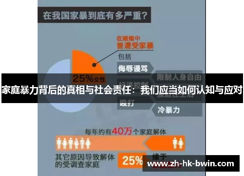 家庭暴力背后的真相与社会责任：我们应当如何认知与应对