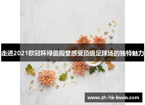 走进2021欧冠杯绿茵殿堂感受顶级足球场的独特魅力
